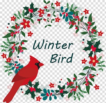 Bird Wreath Christmas tree Flower , Winter Birds transparent background PNG clipart