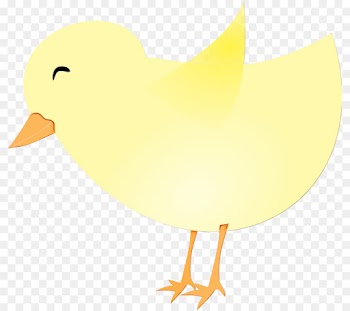 bird yellow beak clip art water bird
