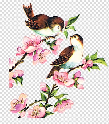 Bird YouTube , bird watercolor transparent background PNG clipart