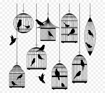 Birdcage Clip art - birdcage 