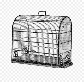 Birdcage Domestic canary Clip art - bird cage 