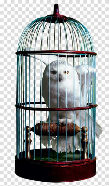 Birdcage Download PNG Image