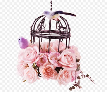 Birdcage Flower Rose - Valentines Day flowers decoration 