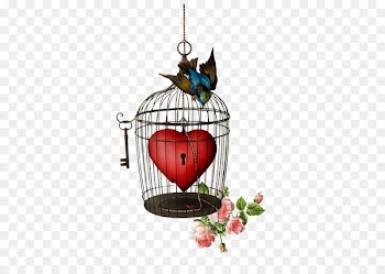 Birdcage Image Portable Network Graphics Photography - cartoon birdhouse 