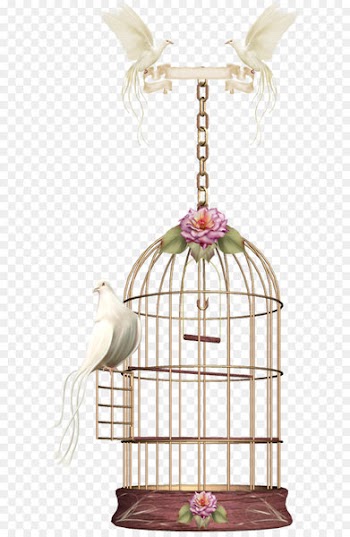 Birdcage Parrot - birdcage 