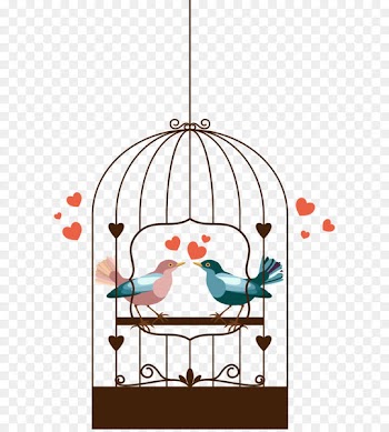Birdcage Rosy-faced lovebird - Vector Birdcage 