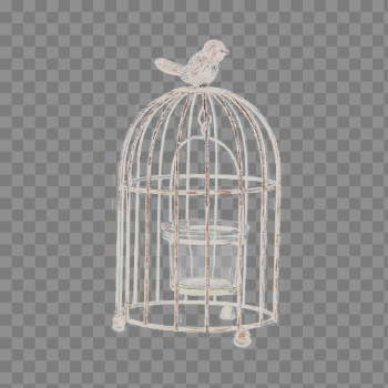 Birdcage Transparent Image