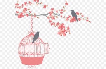 Birdcage Wedding - birdcage 