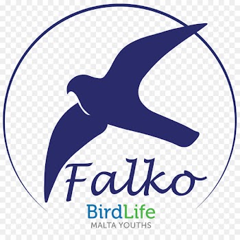 BirdLife Malta Logo Dolphin BirdLife International - birdlife 