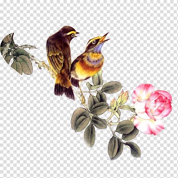Birds and Flowers transparent background PNG clipart