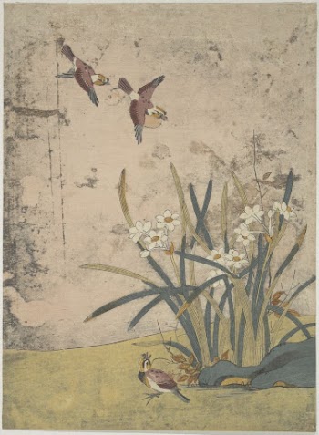 Birds and Narcissus | Free Photo - rawpixel