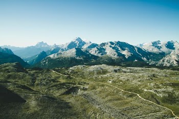 birds eye photography of forest