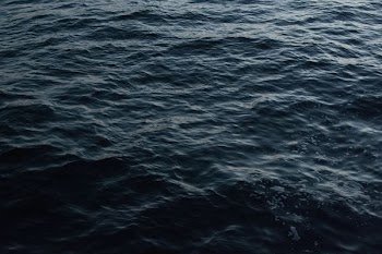 birds eye view of body of water