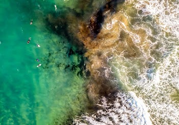 Birds-eye View of Sea