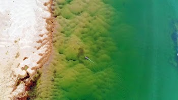Birds-eye-view Photo of Body of Water