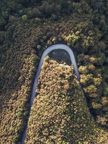 birds eye view road