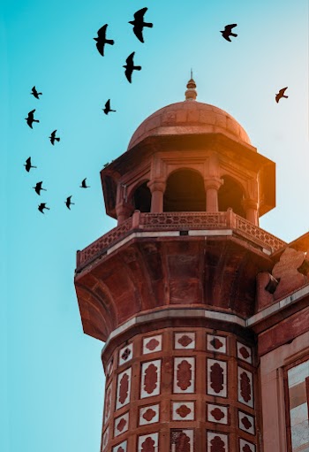 Birds Flying Above Concrete Bulding