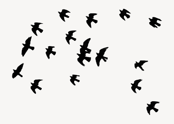 Birds flying collage element psd | Free PSD - rawpixel