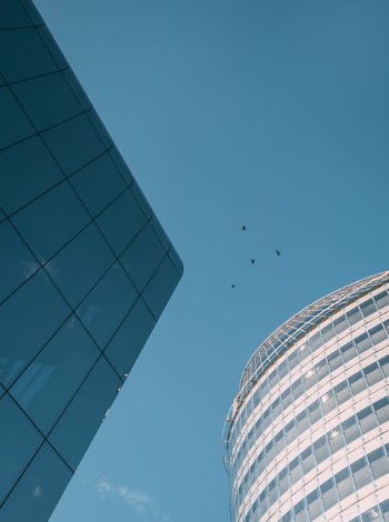 Birds Flying over Buildings · Free Stock Photo