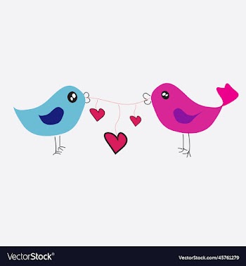 birds in love