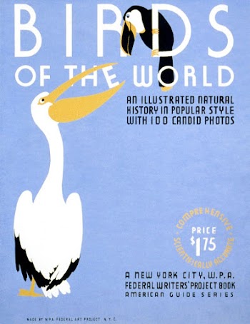 Birds of the world An | Free Photo Illustration - rawpixel