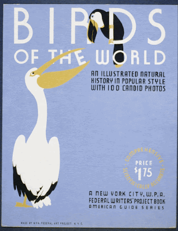 Birds of the world An | Free Photo - rawpixel