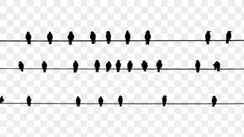 Birds on cable png animal | Free PNG - rawpixel