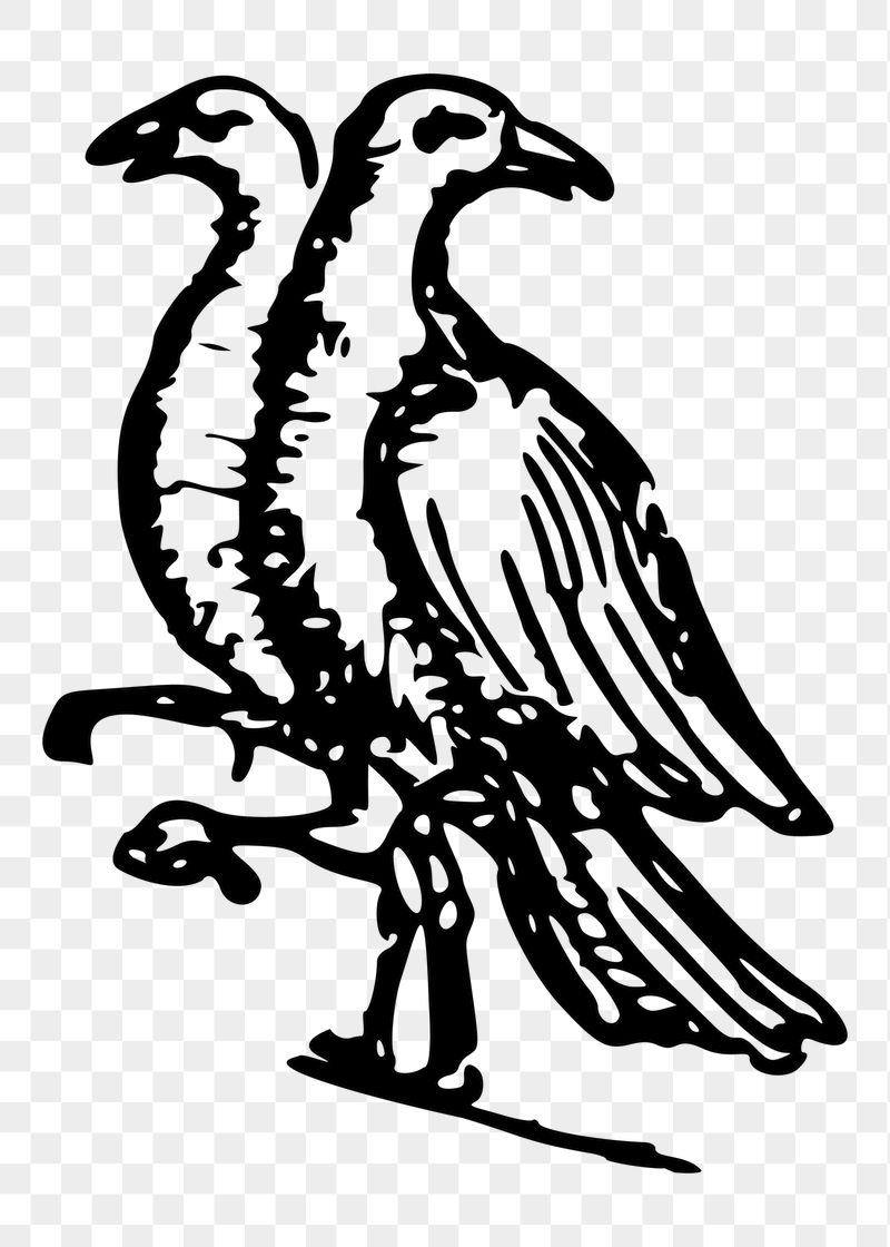 Birds png sticker illustration, transparent | Free PNG - rawpixel