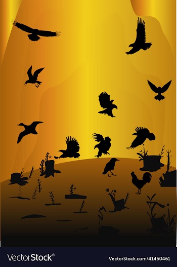 birds silhouette pack