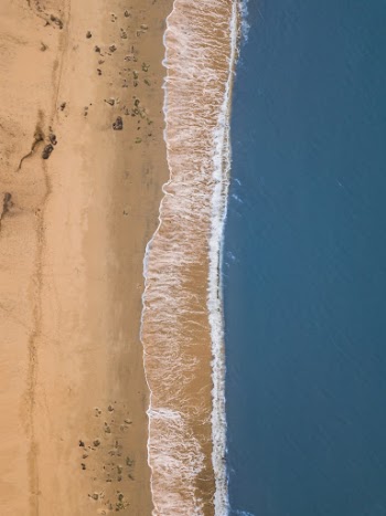 Birds view