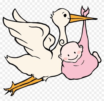 Birth Announcementsthe Ocala Center - Stork Baby