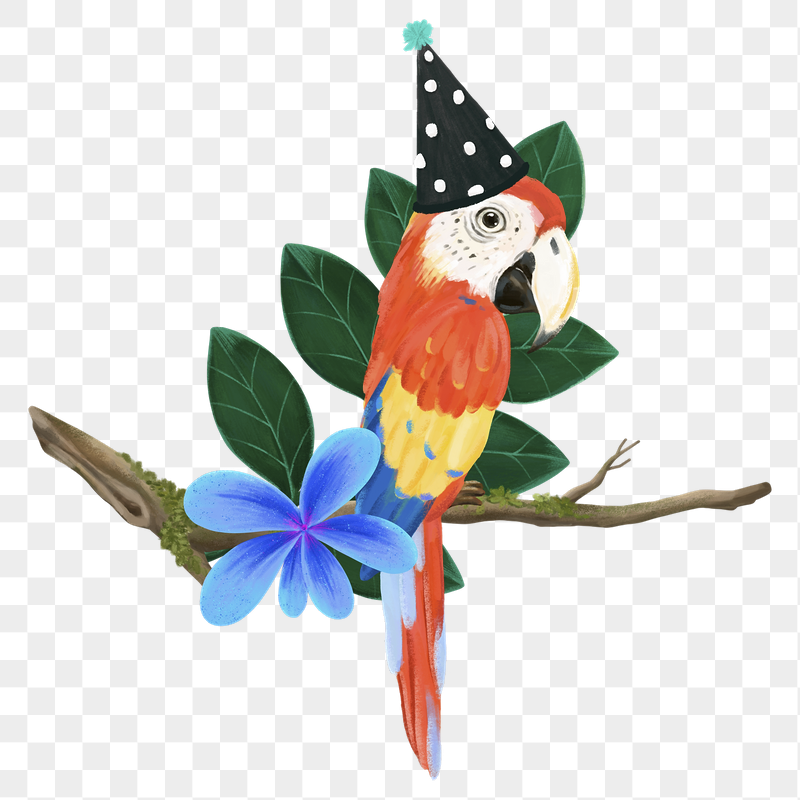 Birthday bird png sticker, cute | Free PNG Illustration - rawpixel