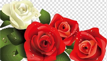 Birthday cake Beach rose Greeting card Happy Birthday to You, Supple Rose transparent background PNG clipart