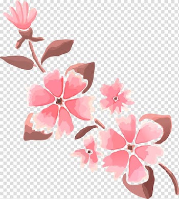 Birthday cake Greeting card Wish Happy Birthday to You, Cartoon floral pattern transparent background PNG clipart