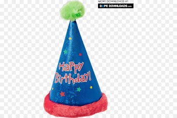 Birthday cake Party hat - birthday cap 
