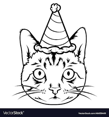 birthday cat