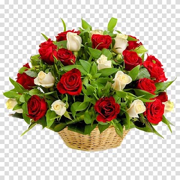 Birthday Flower Bloempjesluis Wish Florist, Birthday transparent background PNG clipart