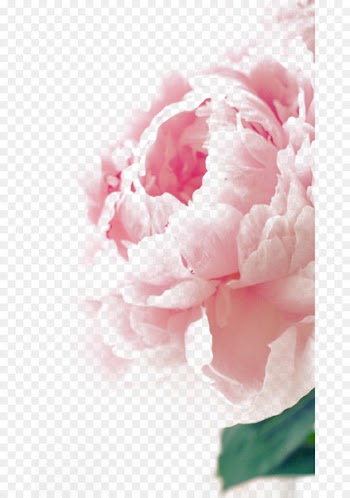 Birthday Flower bouquet Greeting card Wish - Color peony States 