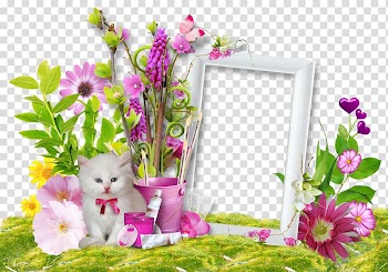 Birthday Frames Wedding anniversary Bon anniversaire, Birthday transparent background PNG clipart