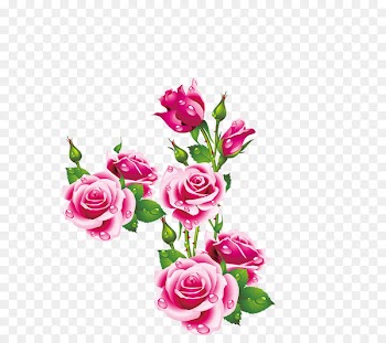 Birthday Holiday Happiness Name day joy - Peony 