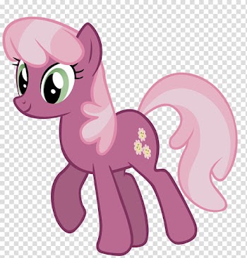 Birthday Trot transparent background PNG clipart