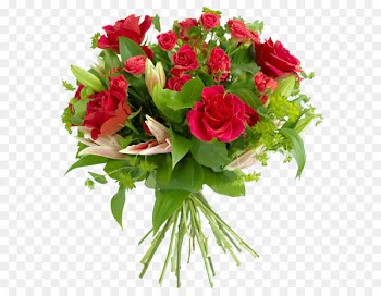 Birthday Vinegar valentines Holiday Wish Igor Kornilov - Bouquet flowers PNG 