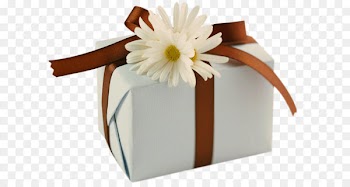 Birthday Wish Friendship Greeting card Happiness - White Present with Brown Bow and Daisies Clipart 