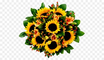 Birthday Wish joy Holiday Smile - sunflower 