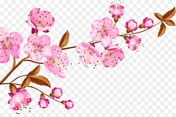 Birthday Wish Wedding invitation Gratitude Happiness - Vector cherry blossoming 