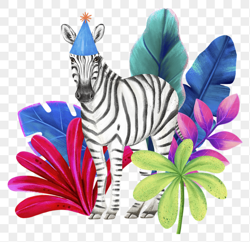 Birthday zebra png sticker, cute | Free PNG Illustration - rawpixel