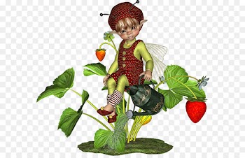 Biscuits, Biscuit, Tea, Strawberries, Plant PNG