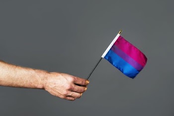 Bisexual Pride Flag