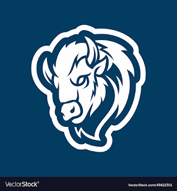 bison head mascot logo design