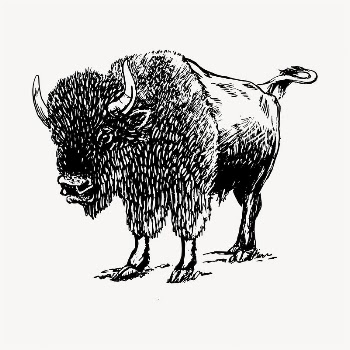 Bison illustration clipart vector. Free | Free Vector - rawpixel